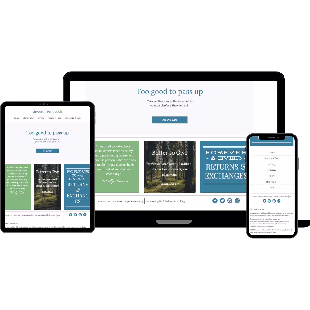 Image of the Email Challenge Snapshot
